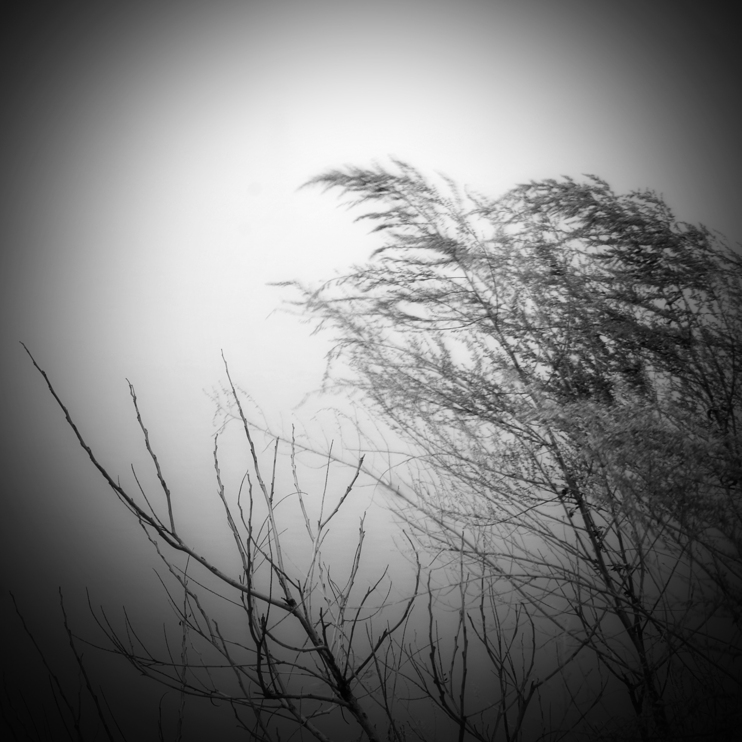 Fine art photograph by R. Alexander Trejo